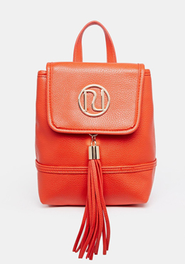 RIVER ISLAND backpack for good price! 